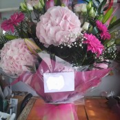 Beauty in Bloom